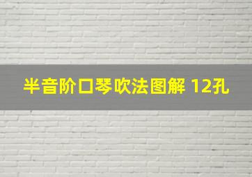 半音阶口琴吹法图解 12孔